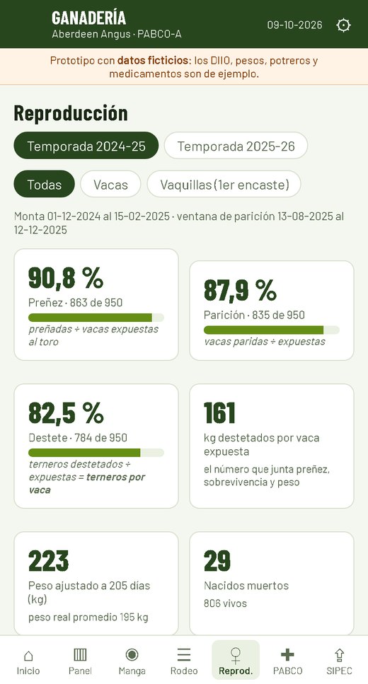 Pantalla de reproducción de la temporada 2024-25: 90,8 % de preñez, 87,9 % de parición, 82,5 % de destete y 161 kilos destetados por vaca expuesta.